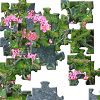 Bloemen legpuzzel