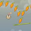 Carrot rush