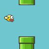 Flappy bird